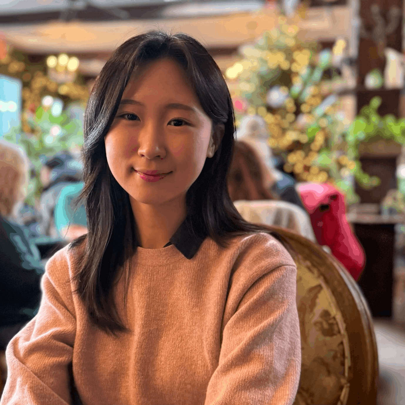 Irene Seungwon Nam