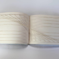Initiative for the Book